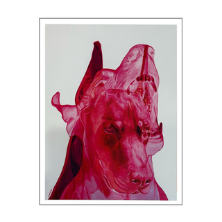 Nico "Poised Pup" Print